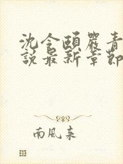 沈令颐严青山小说最新章节更新时间