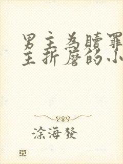 男主为赎罪任女主折磨的小说