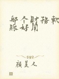 哪个财务软件内账好用