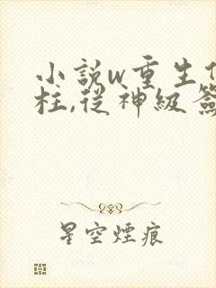 小说w重生何雨柱,从神级签到开始,