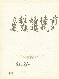 《离婚后前夫总是想追我》