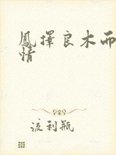 凤择良木而栖剧情