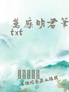 万历明君笔趣阁txt