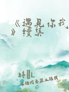 《遇见你我的爱》续集