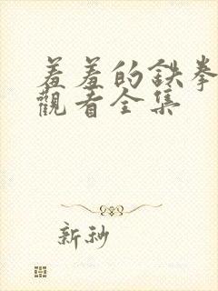 羞羞的铁拳免费观看全集