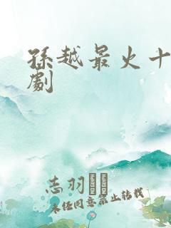 孙越最火十部短剧