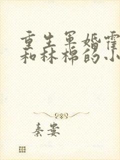 重生军婚霍慎言和林棉的小说