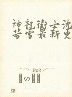 神龙卫士沈浪苏若雪最新更新章节