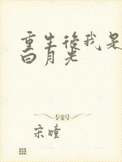 重生后我是大佬白月光