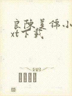 良陈美锦小说txt下载