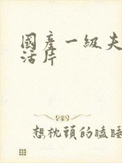 国产一级夫妻生活片