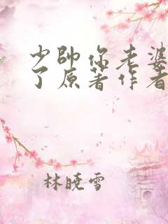 少帅你老婆又跑了原著作者