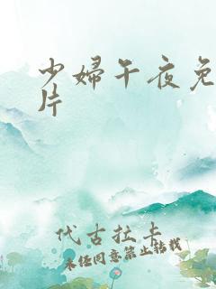 少妇午夜免费看片