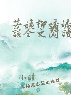 芳姨柳娇娇的小说全文阅读