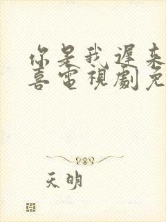 你是我迟来的欢喜电视剧免费观看