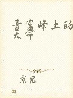 青鸾峰上的无敌天命