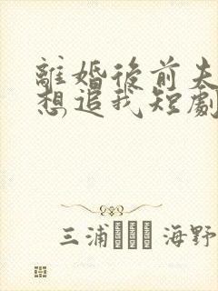 离婚后前夫总是想追我短剧