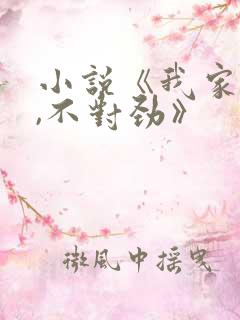 小说《我家娘子,不对劲》