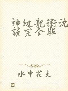 神级龙卫沈浪小说完全版