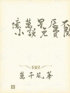 亿万星辰不及你 小说免费阅读