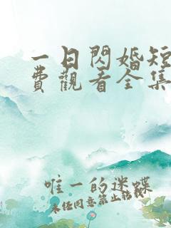一日闪婚短剧免费观看全集