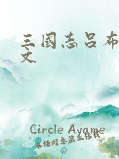 三国志吕布传符文