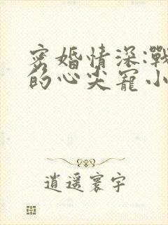 密婚情深:战少的心尖宠小说