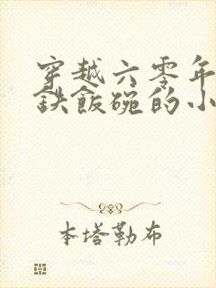 穿越六零年代卖铁饭碗的小说