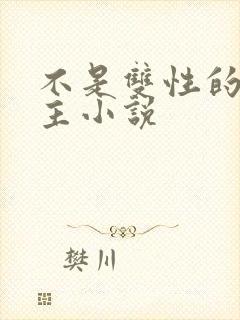 不是双性的双男主小说