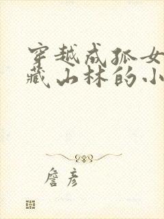 穿越成孤女去掩藏山林的小说