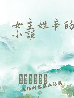 女主姓辛的穿越小说