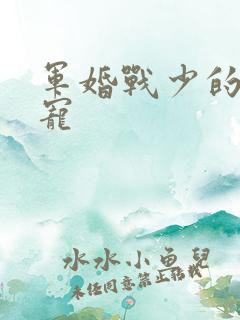 军婚战少的心尖宠