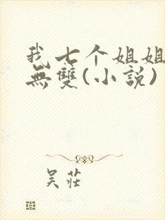 我七个姐姐绝世无双(小说)