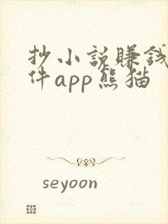 抄小说赚钱的软件app熊猫