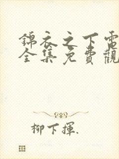 锦衣之下电视剧全集免费观看不卡