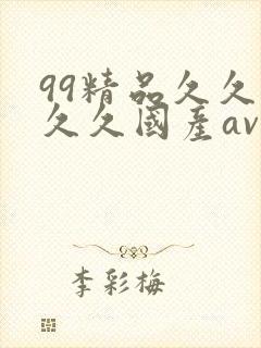 99精品久久久久久国产av