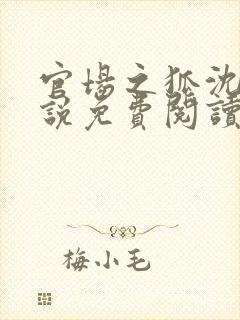 官场之狐沈荡小说免费阅读