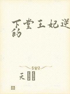 下堂王妃逆袭记的