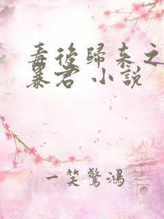 毒后归来之家有暴君 小说