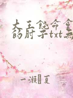 大王饶命会说话的肘子txt无删减