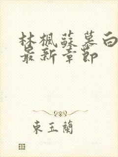 林枫苏慕白小说最新章节