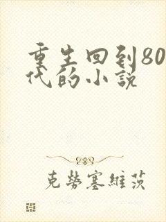 重生回到80年代的小说