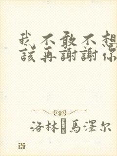 我不敢不想不应该再谢谢你的爱