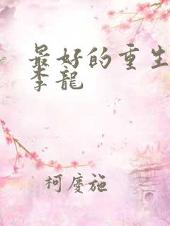 最好的重生小说李龙