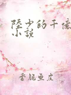 陆少的千亿盛宠小说