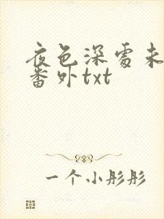 夜色深处未删减番外txt