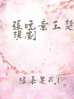 张晚意王楚然电视剧