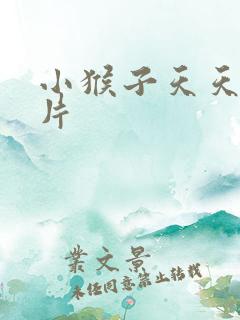 小猴子天天动画片