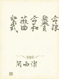 紫薇命盘命宫有武曲和贪狼化忌