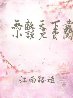 无敌天下黄小龙小说免费阅读免费